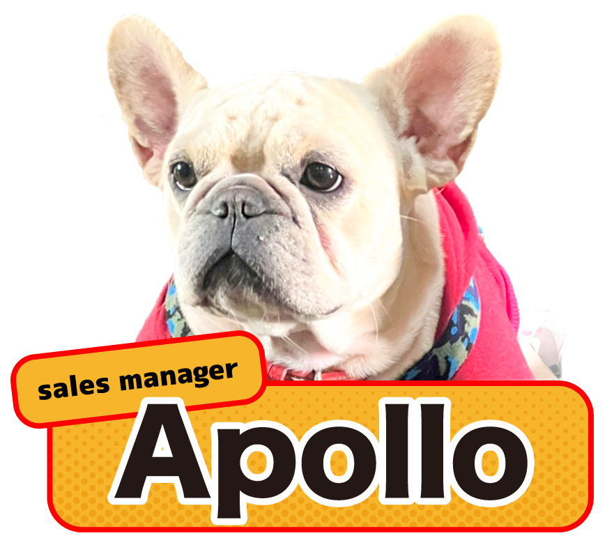 apolo_en